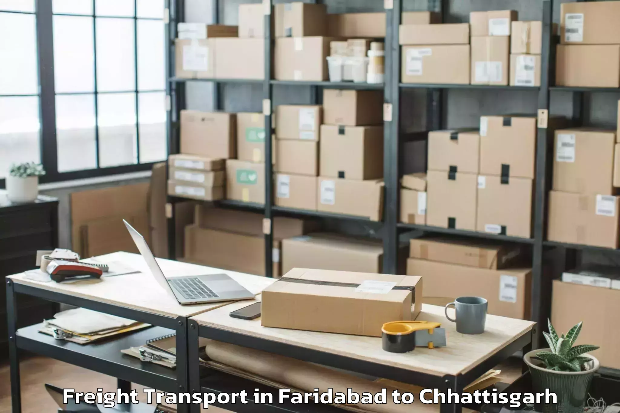 Professional Faridabad to Op Jindal University Raigarh Freight Transport